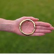 Polished Gold Clipa purse holder in hand 